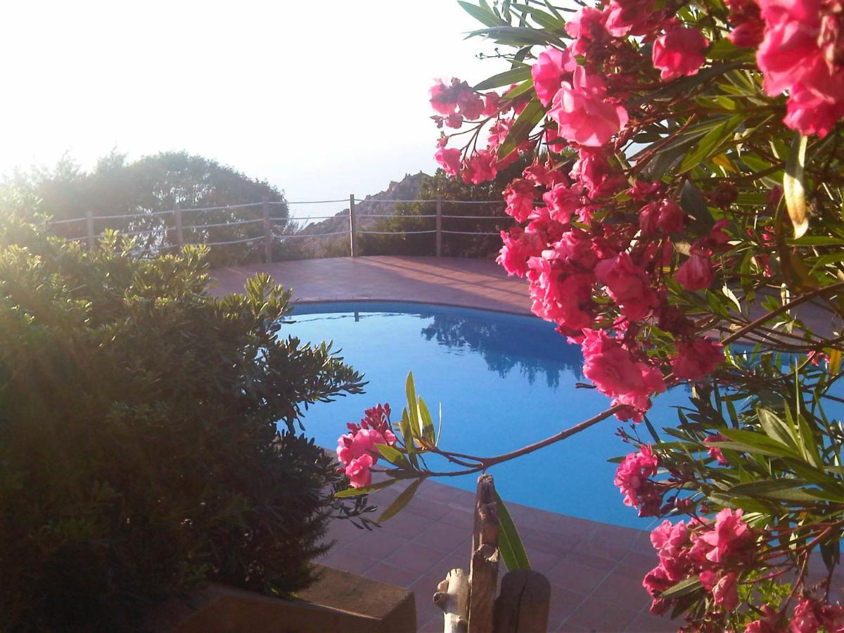 Villa Domus De Janas Costa Paradiso Exterior foto